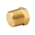 1/2" Brass Solid Plug Bg
