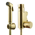 All-In-One Thermostatic Brass Douche Set – Brushed Gold Finish