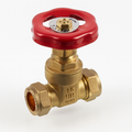28MM C x C Brass Nbs Gate Valve